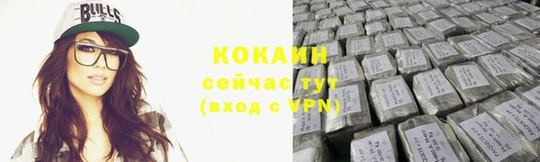 спайс Дмитриев