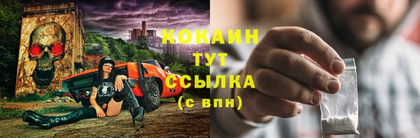 spice Михайлов
