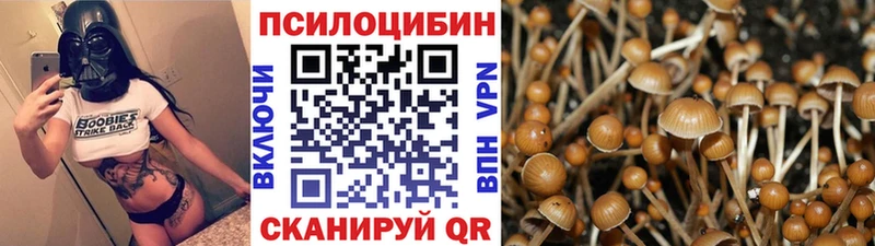 Псилоцибиновые грибы Cubensis  купить наркоту  Каневская 